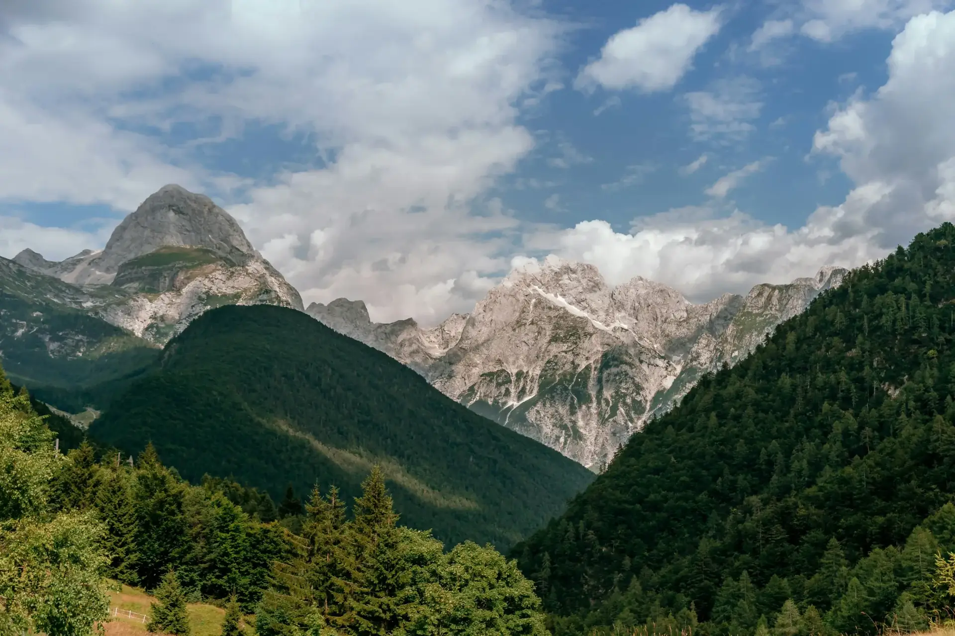Page background image