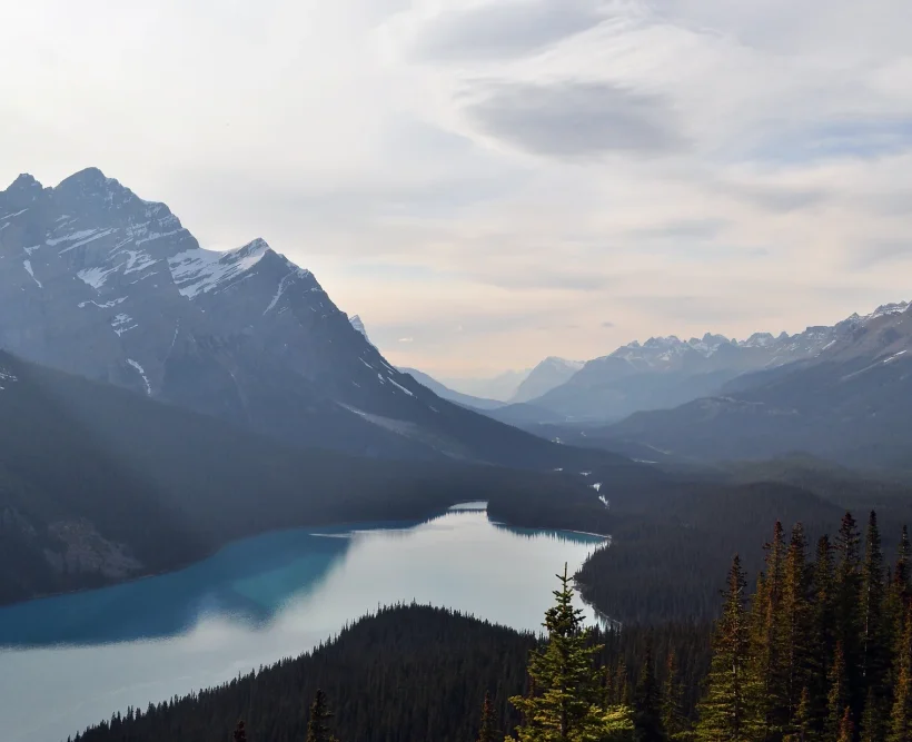 Mountains and forests - header background