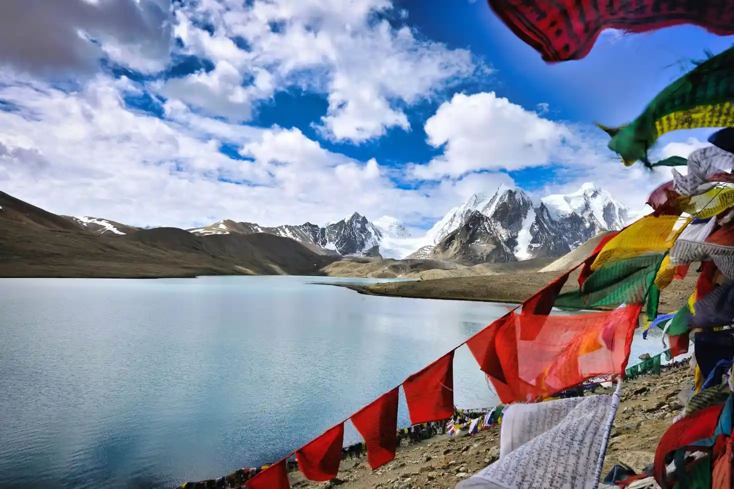 Background showing travel services by North Bengal & Beyond